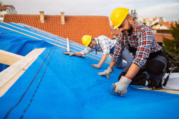 Best New Roof Installation  in Drain, OR