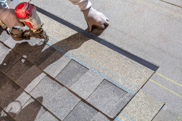 Best Flat Roof Repair Services  in Drain, OR